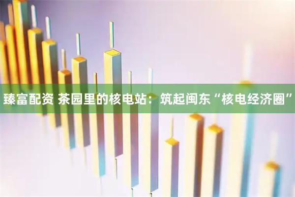 臻富配资 茶园里的核电站：筑起闽东“核电经济圈”