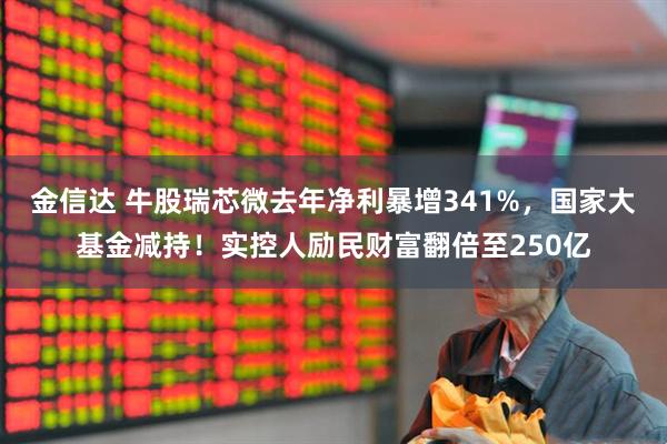 金信达 牛股瑞芯微去年净利暴增341%，国家大基金减持！实控人励民财富翻倍至250亿