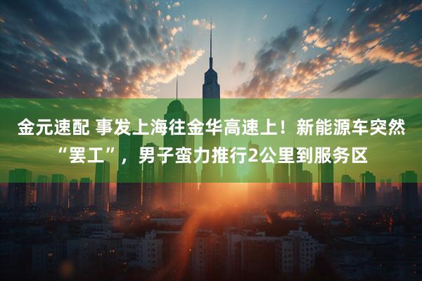 金元速配 事发上海往金华高速上！新能源车突然“罢工”，男子蛮力推行2公里到服务区