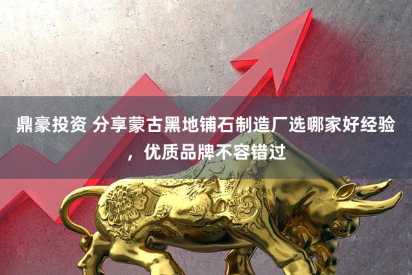 鼎豪投资 分享蒙古黑地铺石制造厂选哪家好经验，优质品牌不容错过